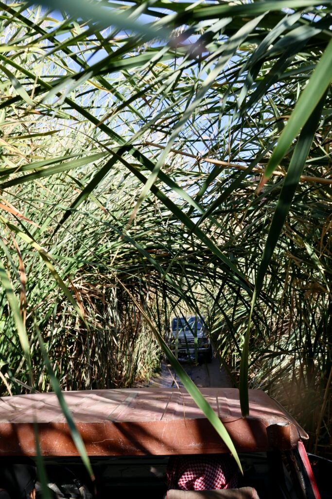 saoedi arabië 2025 11 06 (124)